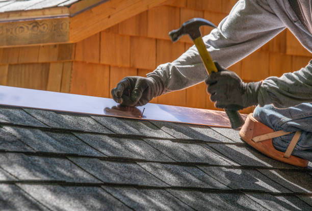 Best Metal Roofing Installation  in Blue Ridge, GA