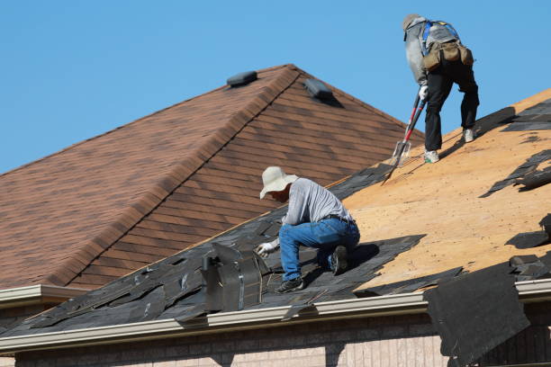 Emergency Roof Repair in Blue Ridge, GA