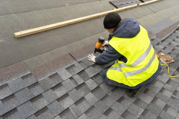 Best Roof Moss and Algae Removal  in Blue Ridge, GA