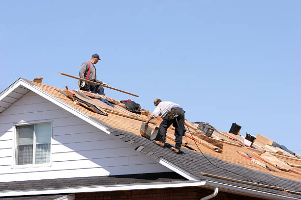 Gutter Replacement in Blue Ridge, GA